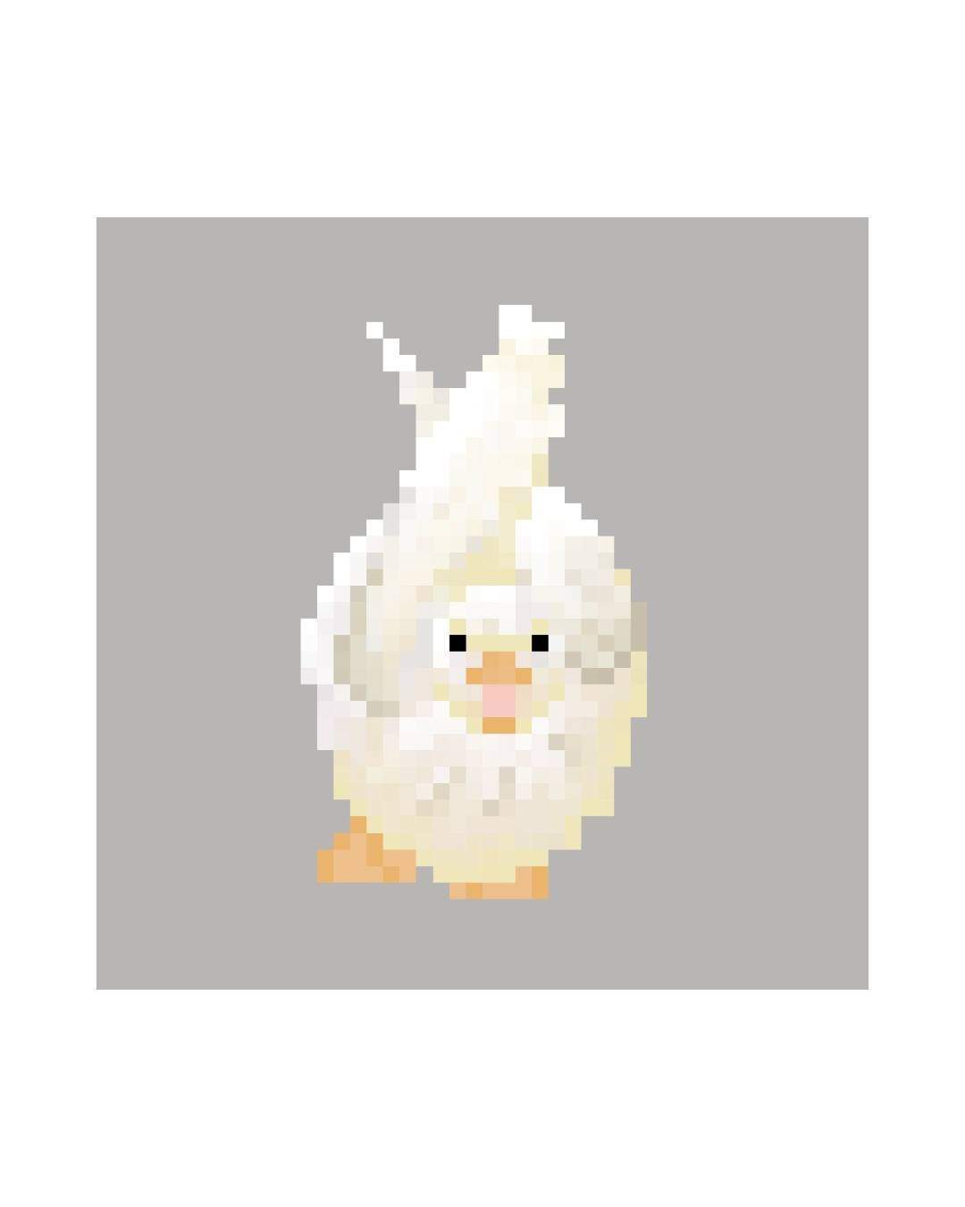 A white pixel-art duck with orange feet and an open bill stands against a gray background.